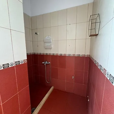 Modern Haven * Tirana