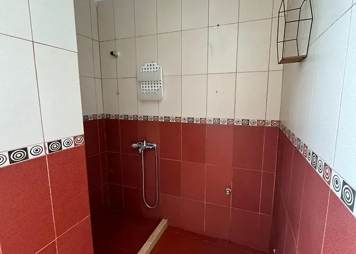 Modern Haven * Tirana